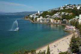 1-fountain-oriental-bay-wellington-david-wall.jpg